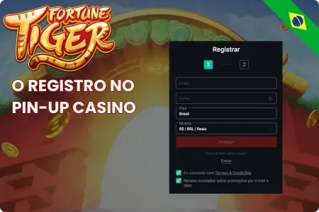 Pin-Up Casino Registro 