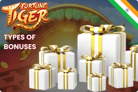 Fortune Tiger bonuses options