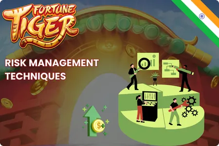 Fortune Tiger Risk Management Techniques